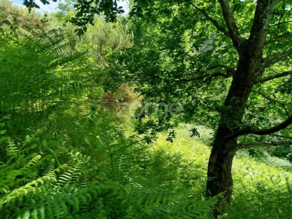 Helårsgrund i Seia, Guarda - foto 1