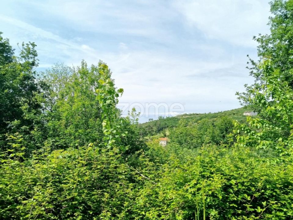 Helårsgrund i Seia, Guarda - foto 4