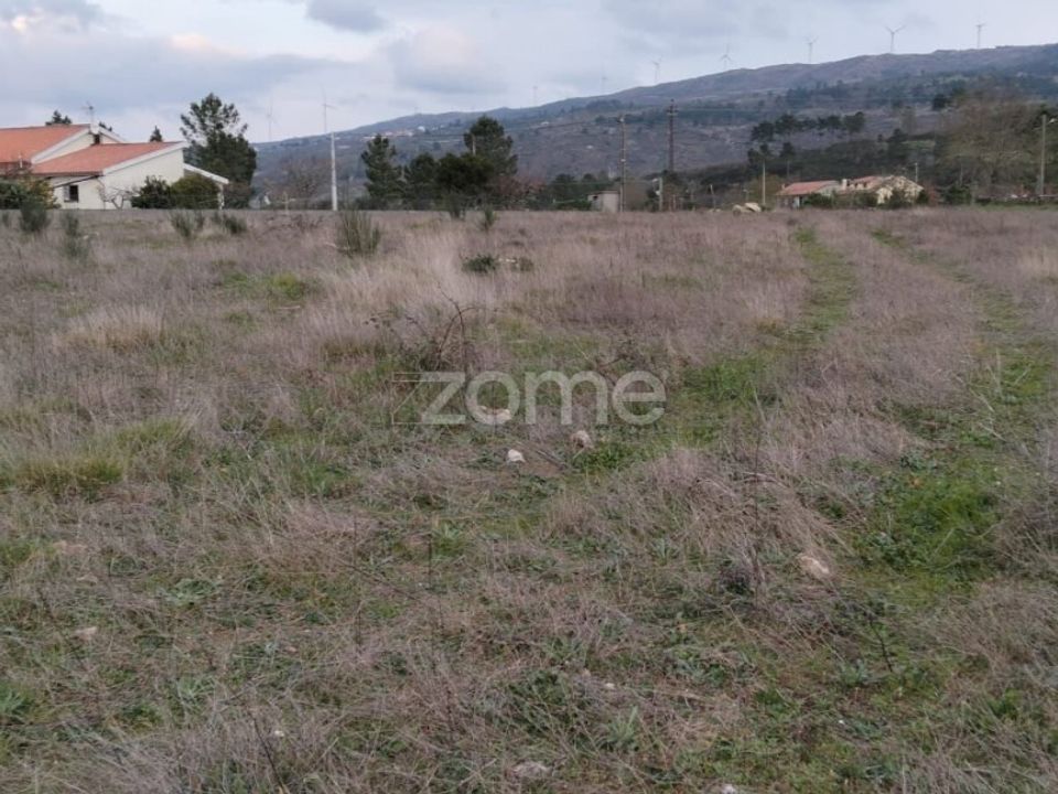 Terra a Cortico da Serra, Guarda - foto 5