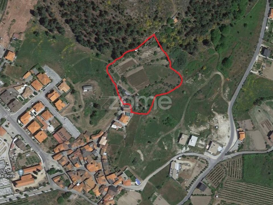 Quinta em Moimenta da Beira, Viseu - foto 4