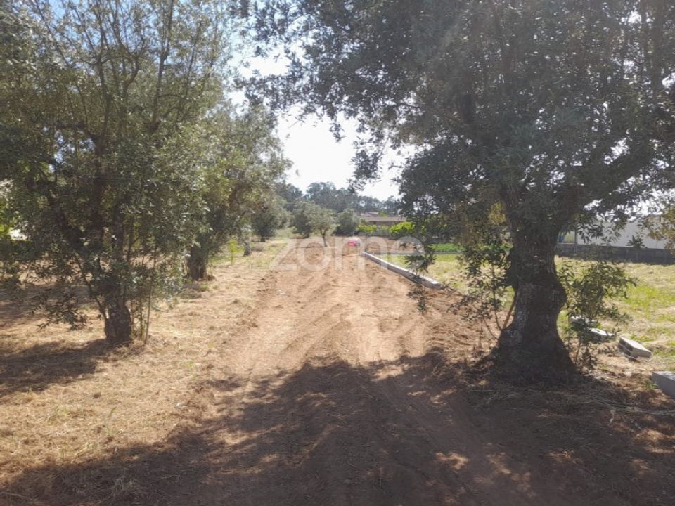 Helårsgrund i Pombal, Leiria - foto 2