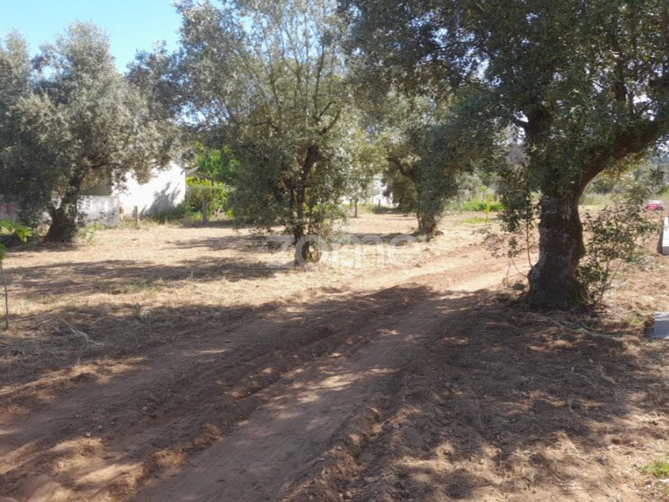 Helårsgrund i Pombal, Leiria - foto 3