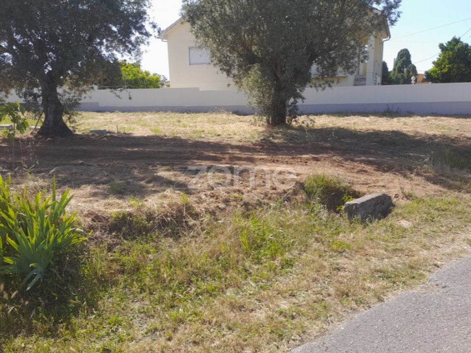 Helårsgrund i Pombal, Leiria - foto 4