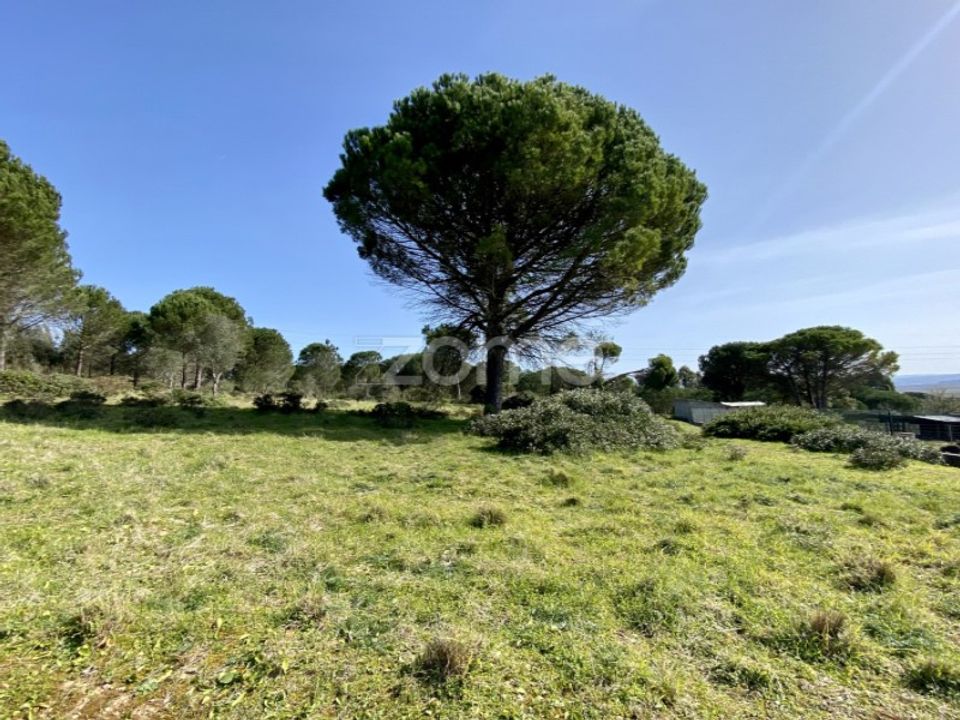 Tomt i Vila Verde, Coimbra - bilde 4