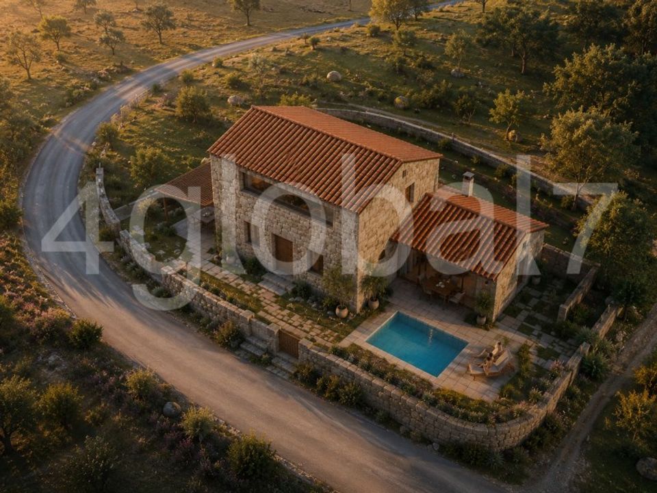 Villa i Oliveira de Frades, Viseu - bilde 1