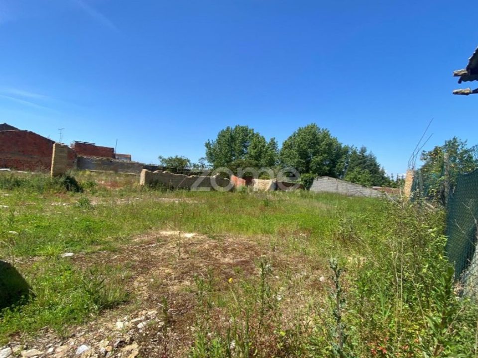 Terrain - Sepins e Bolho, Coimbra - photo 4