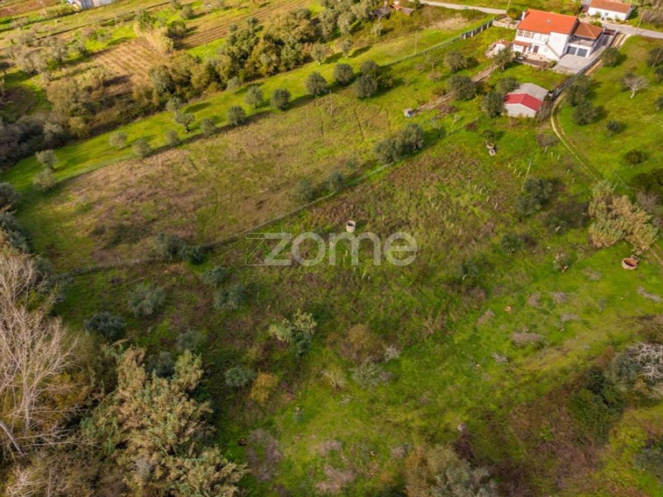 Helårsgrund i Pombal, Leiria - foto 3