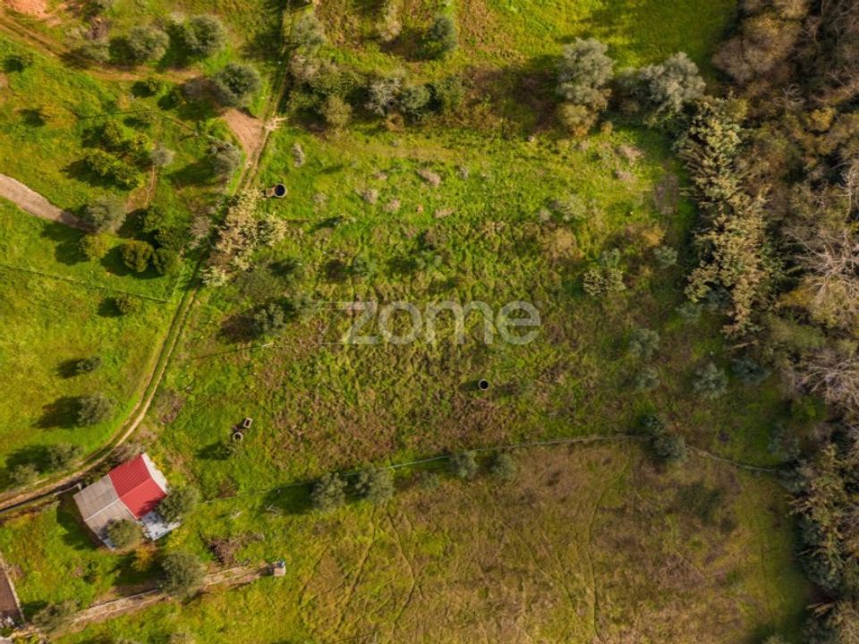 Helårsgrund i Pombal, Leiria - foto 5