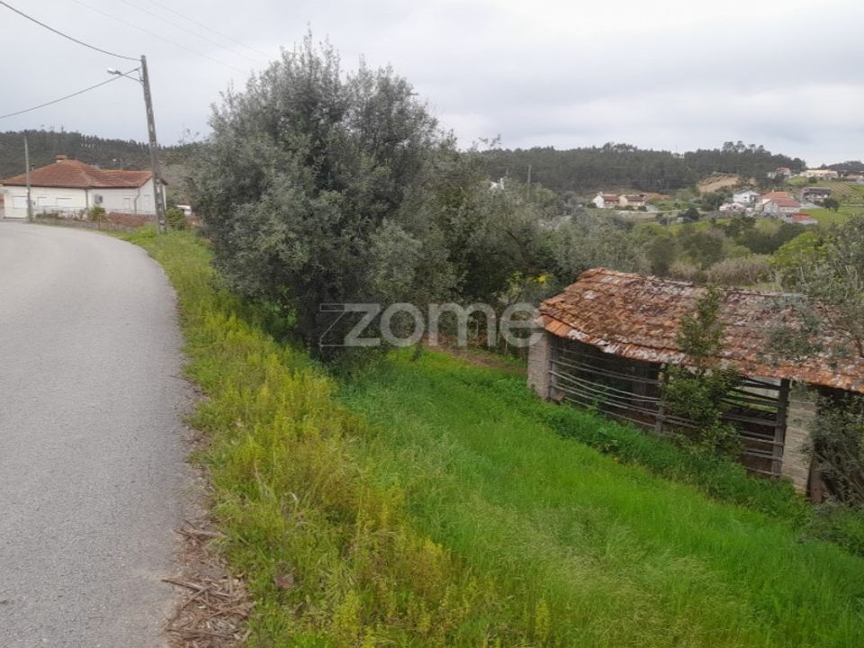 Terra em Soure, Coimbra - foto 1