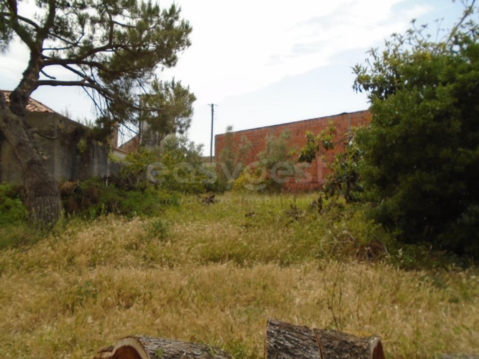 Helårsgrund i Pataias, Leiria - foto 4