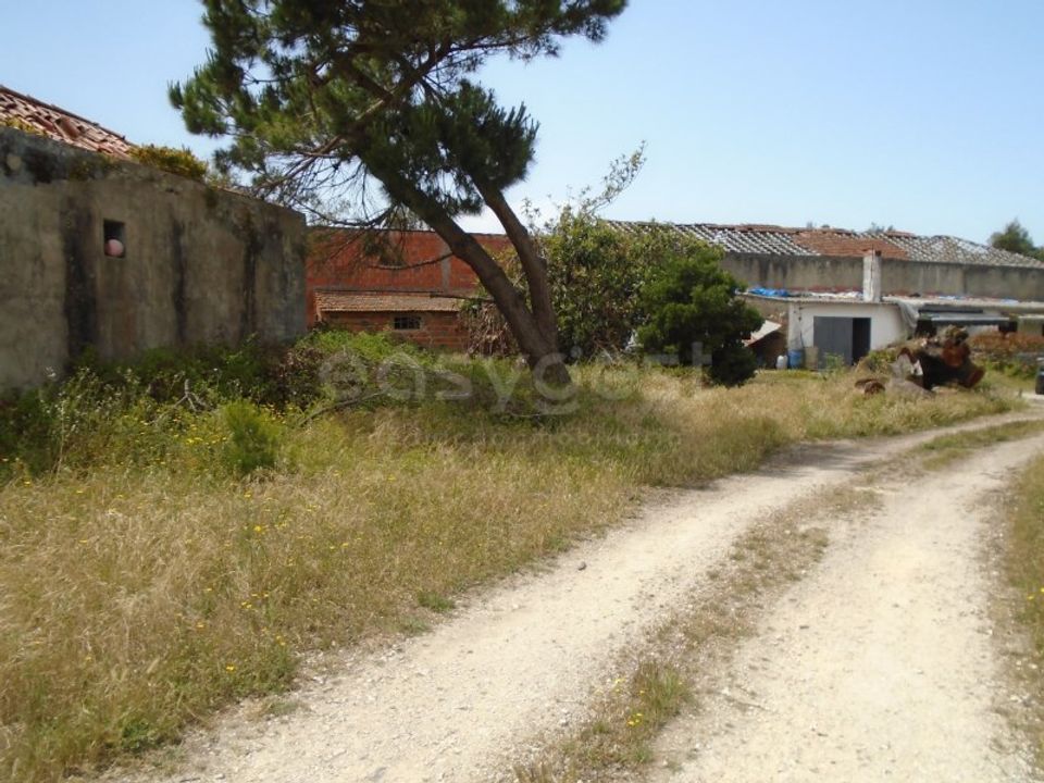 Helårsgrund i Pataias, Leiria - foto 5
