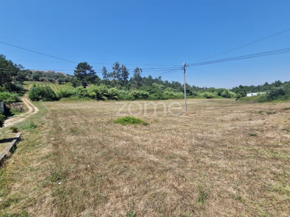 Terra a Gesteira e Brunhos, Coimbra - foto 4