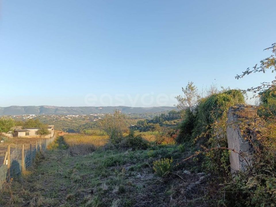 Villa i Aljubarrota, Leiria - foto 1