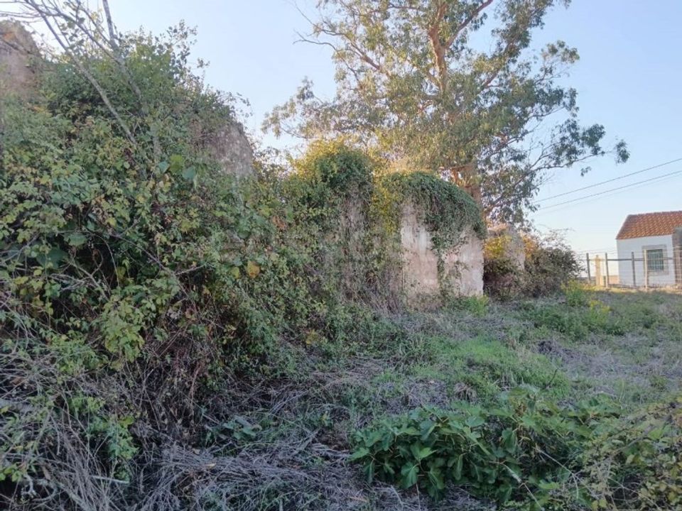 Villa i Aljubarrota, Leiria - foto 4