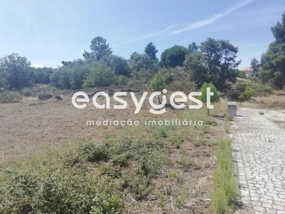 Terra em Caria, Castelo Branco - foto 1