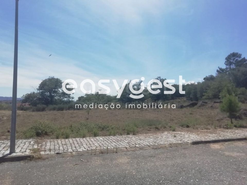 Terra em Caria, Castelo Branco - foto 5