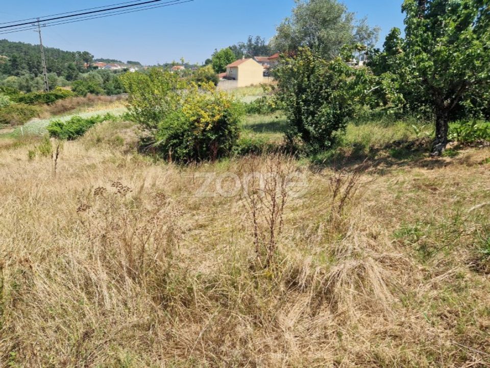 Działka: Soure, Coimbra – zdjęcie 1