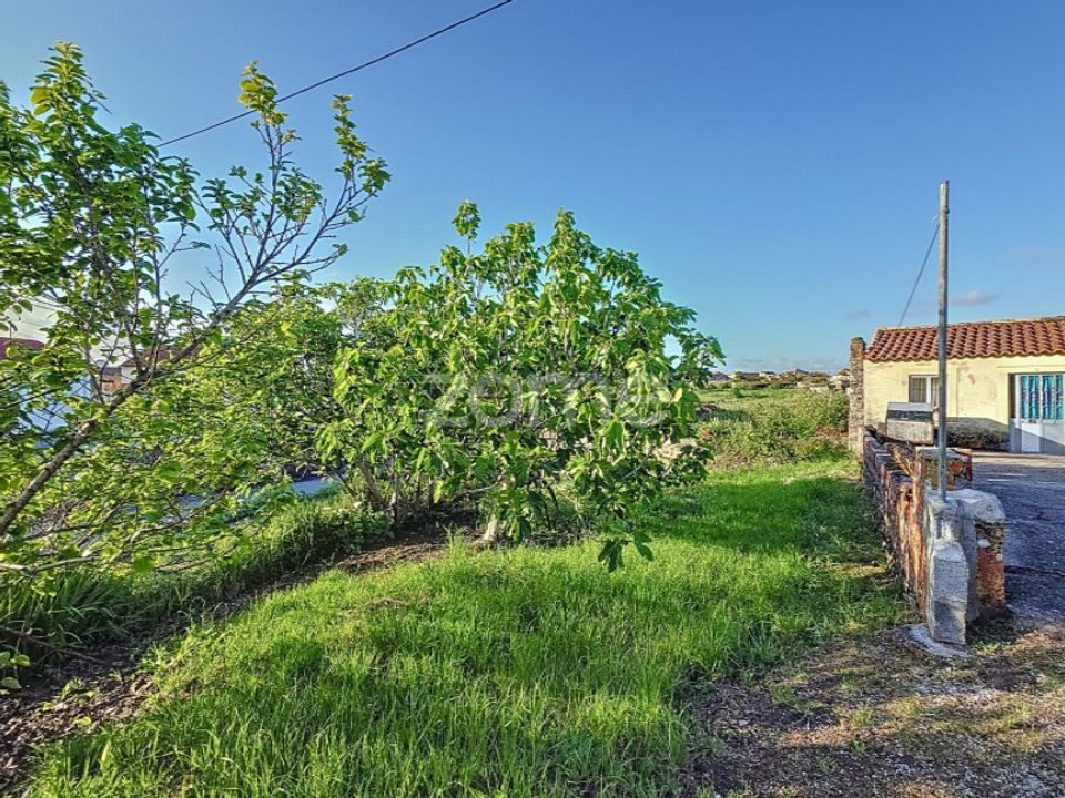 Haus in Alqueidao, Coimbra - Foto 5