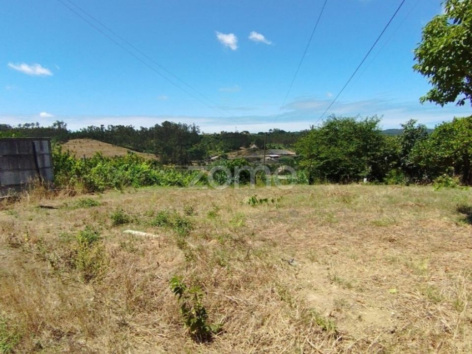 Helårsgrund i Pombal, Leiria - foto 1