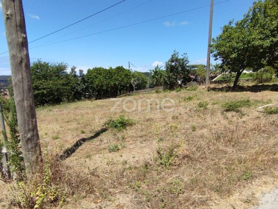 Helårsgrund i Pombal, Leiria - foto 2