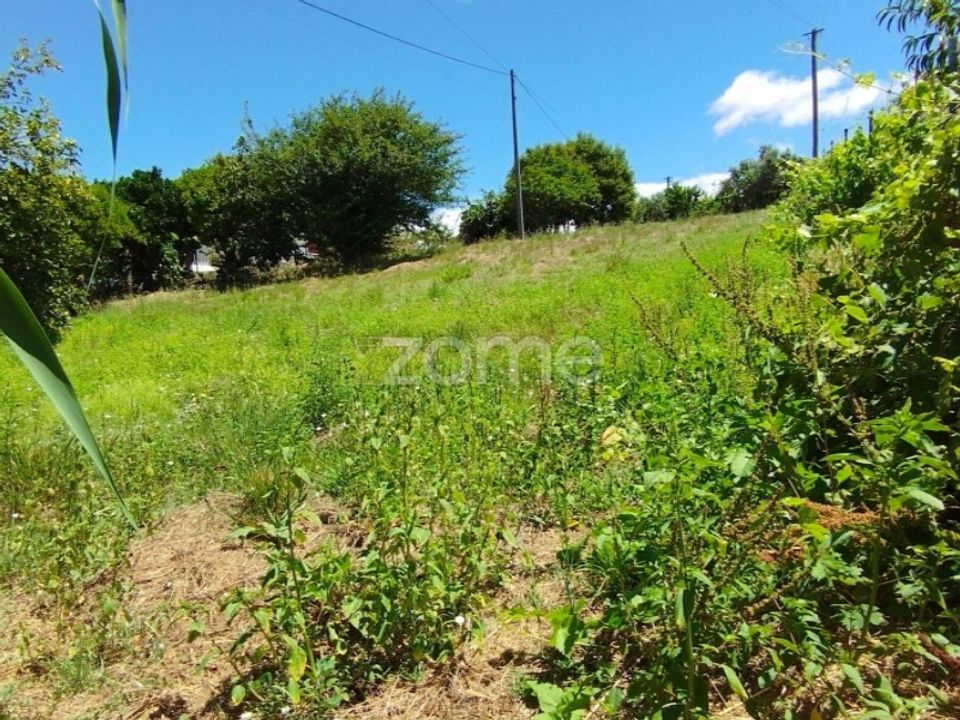 Helårsgrund i Pombal, Leiria - foto 4
