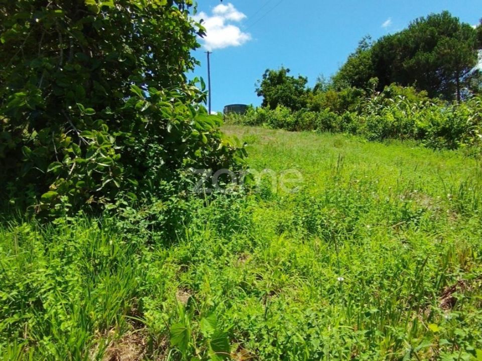 Helårsgrund i Pombal, Leiria - foto 5