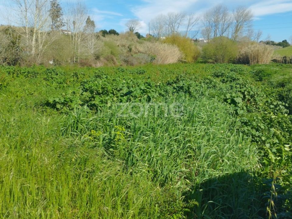 Helårsgrund i Monte Real, Leiria - foto 3