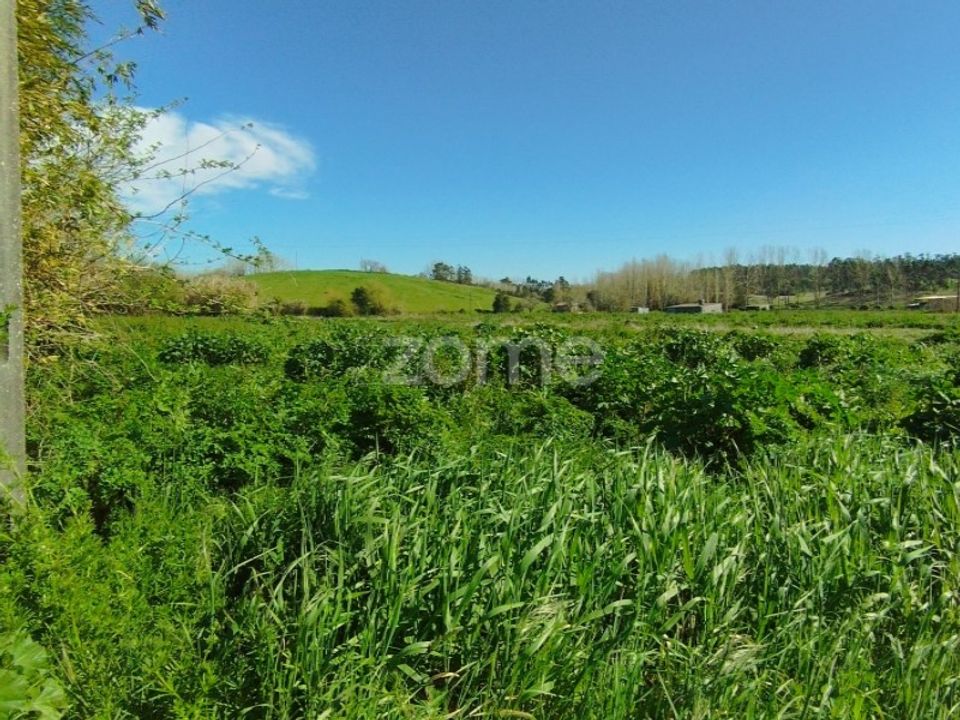 Helårsgrund i Monte Real, Leiria - foto 5
