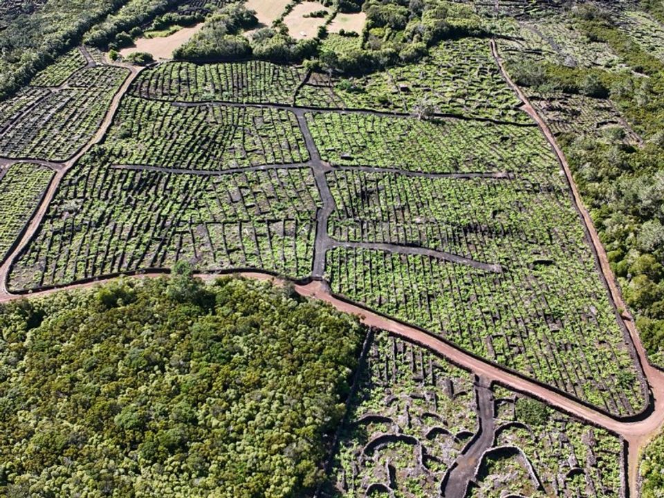 Terreno en Bandeiras, Pico - foto 2