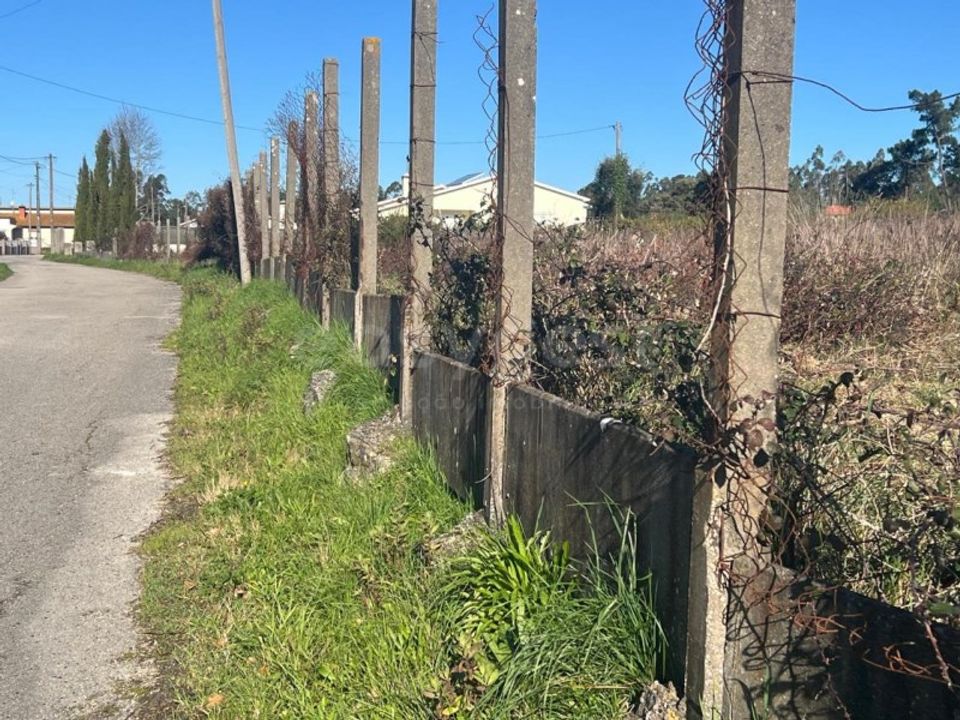 Helårsgrund i Monte Real, Leiria - foto 3