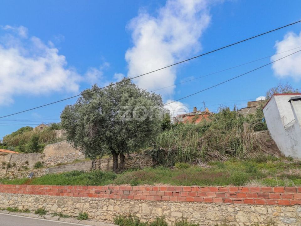 Tomt i Vila Verde, Coimbra - bilde 3