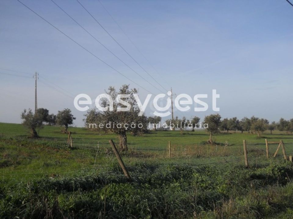Terra a Aljustrel, Beja - foto 1