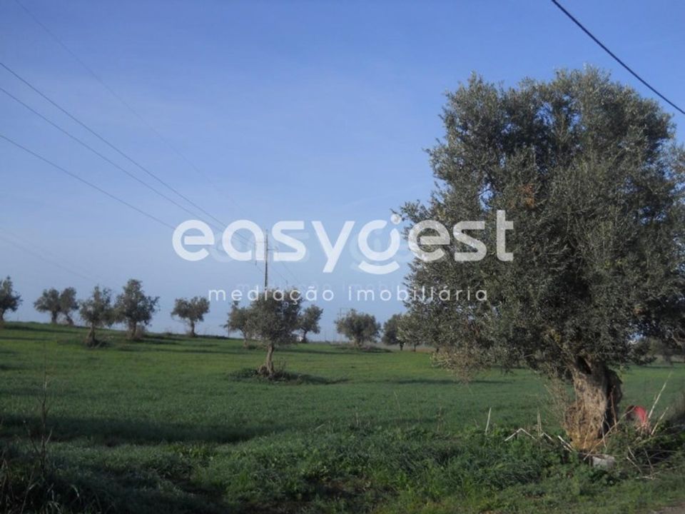 Terra a Aljustrel, Beja - foto 4