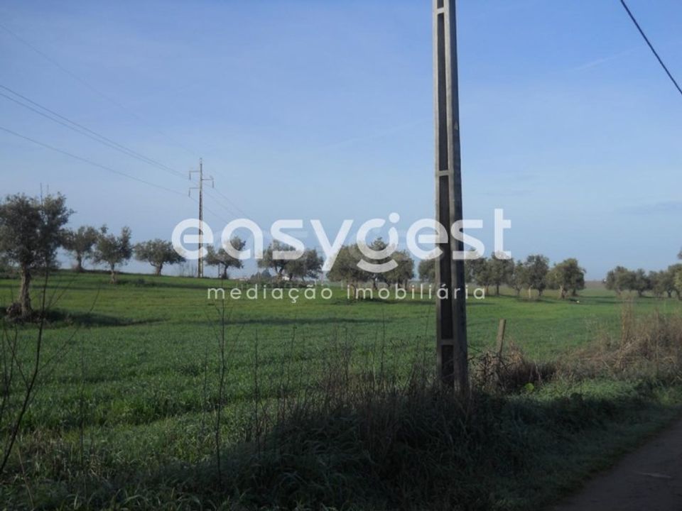 Terra a Aljustrel, Beja - foto 5