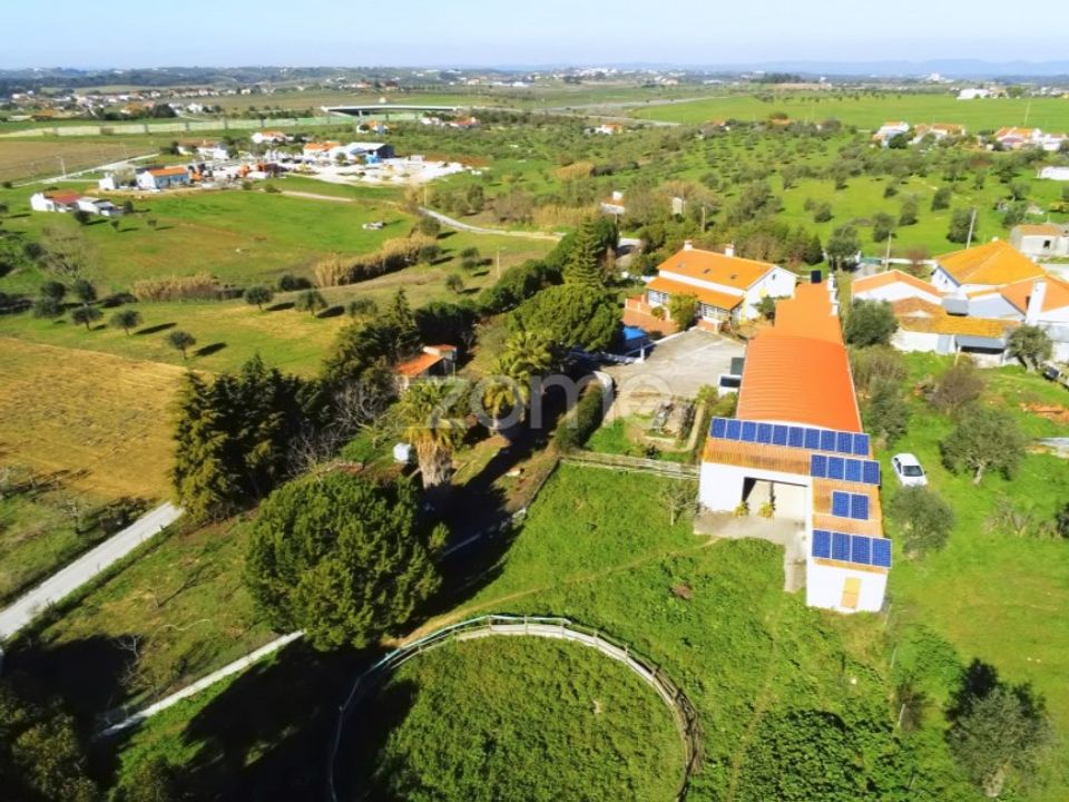 Gård i Sao Vicente do Paul, Santarem - bilde 3