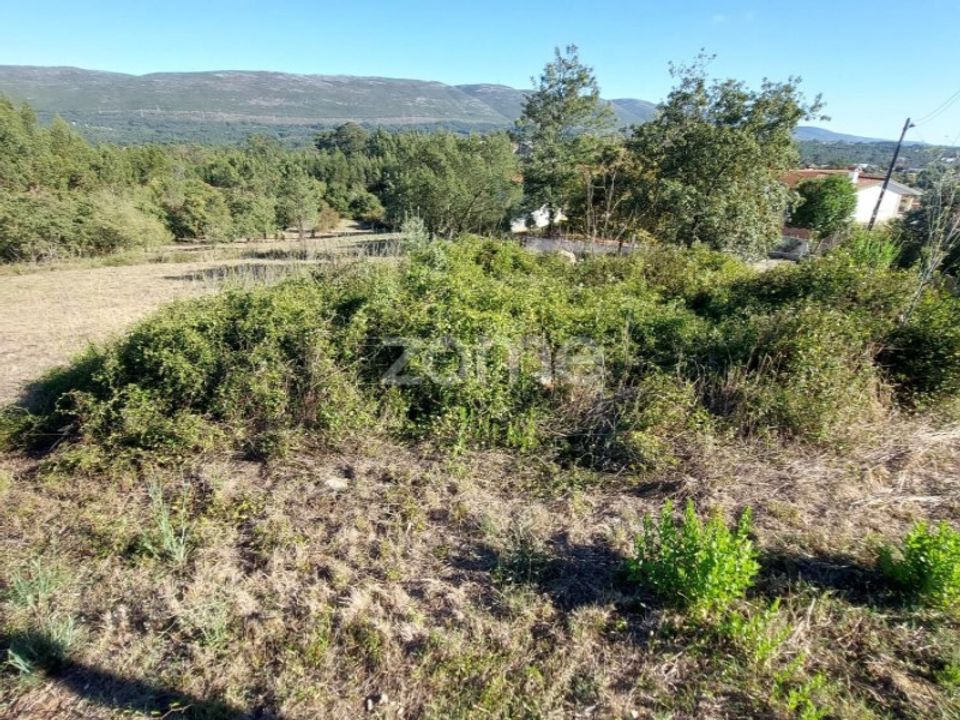 Helårsgrund i Juncal, Leiria - foto 3