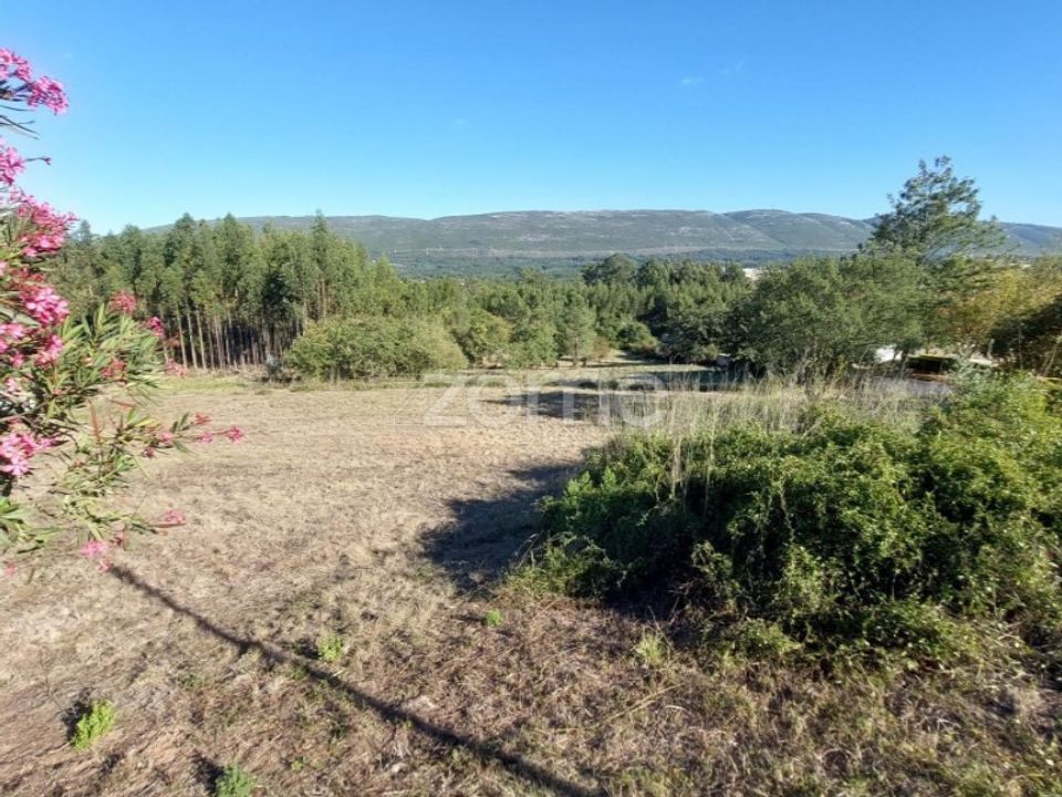 Helårsgrund i Juncal, Leiria - foto 4