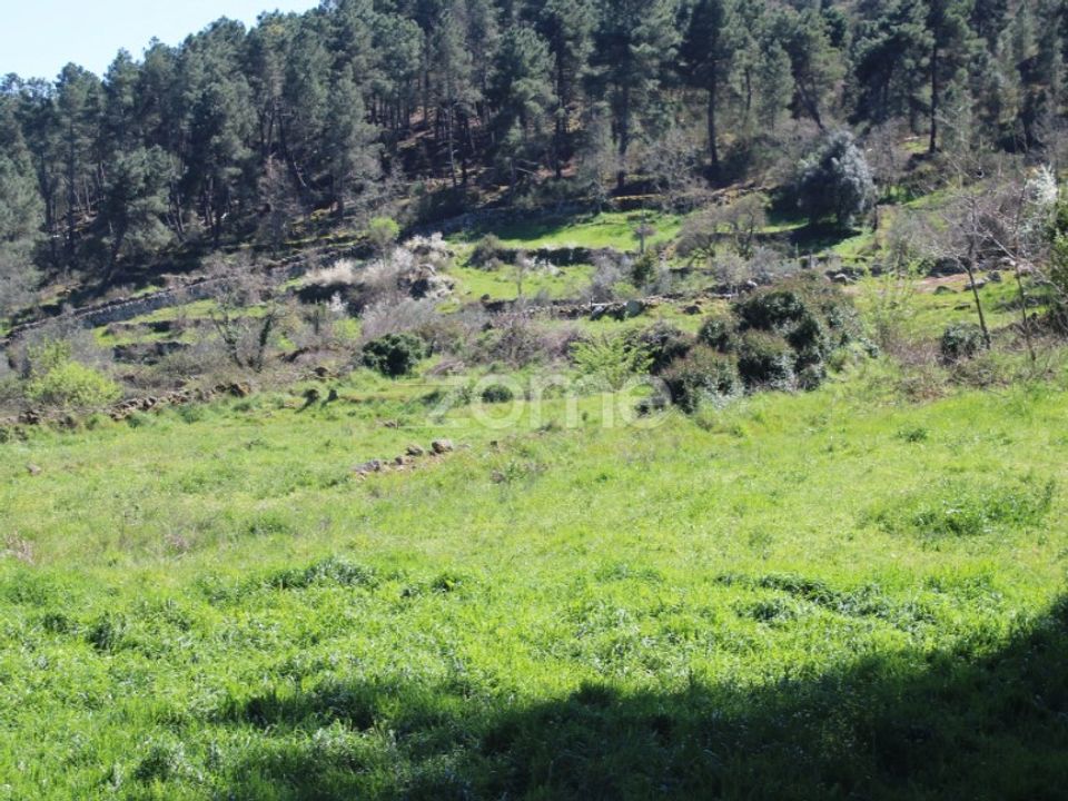 Terra a Moimenta da Beira, Viseu - foto 2