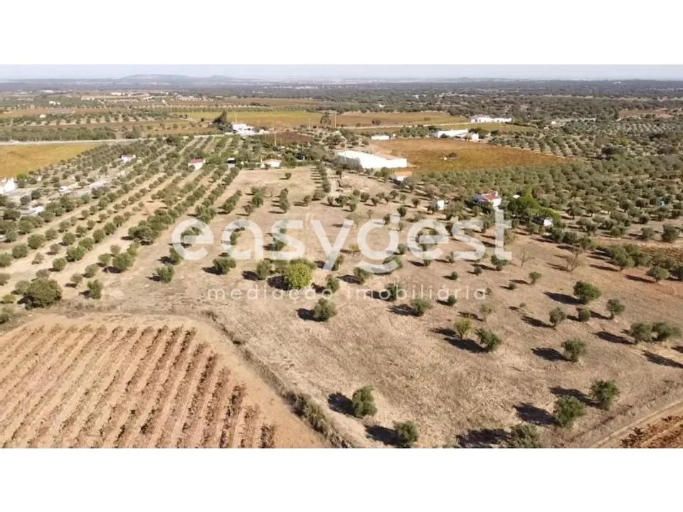 Farm hus i Reguengos de Monsaraz, Evora - foto 1