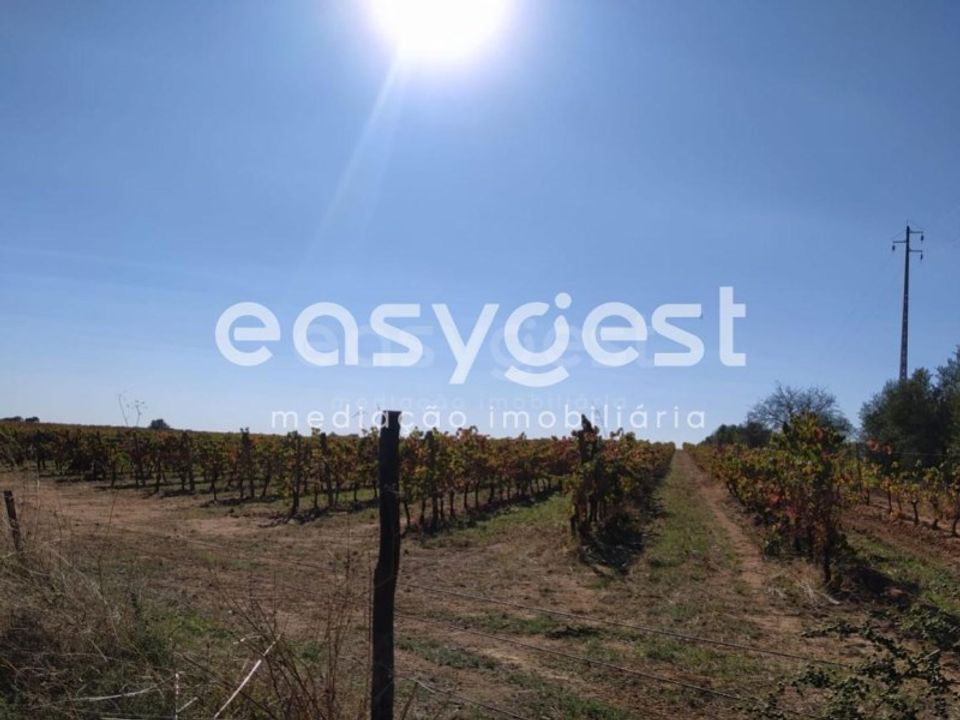 Farm hus i Reguengos de Monsaraz, Evora - foto 2