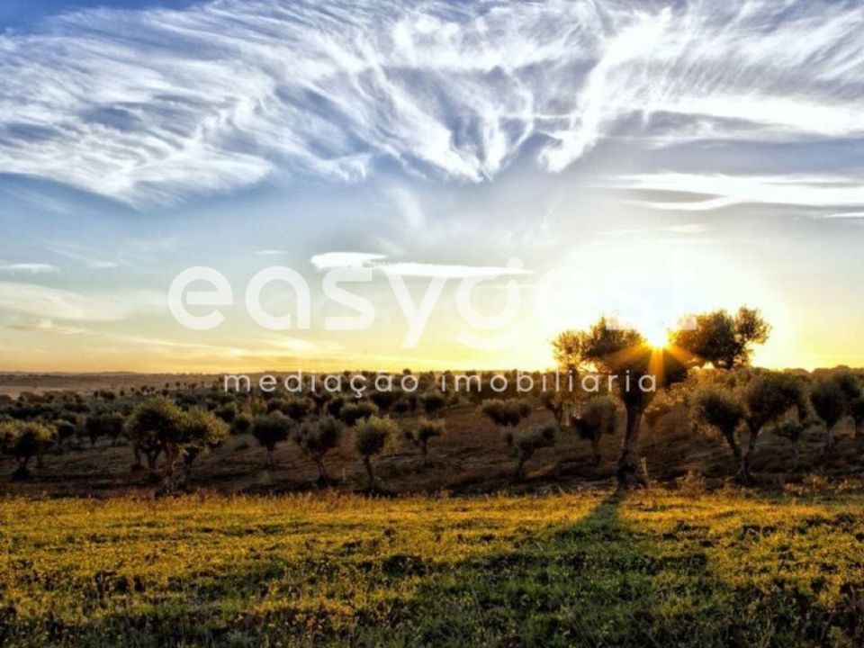 Casa de campo en Alvalade, Setubal - foto 1