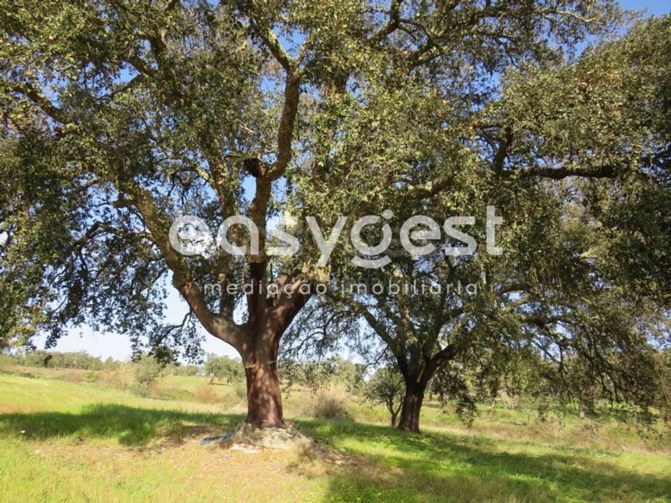 Casa de campo en Alvalade, Setubal - foto 3