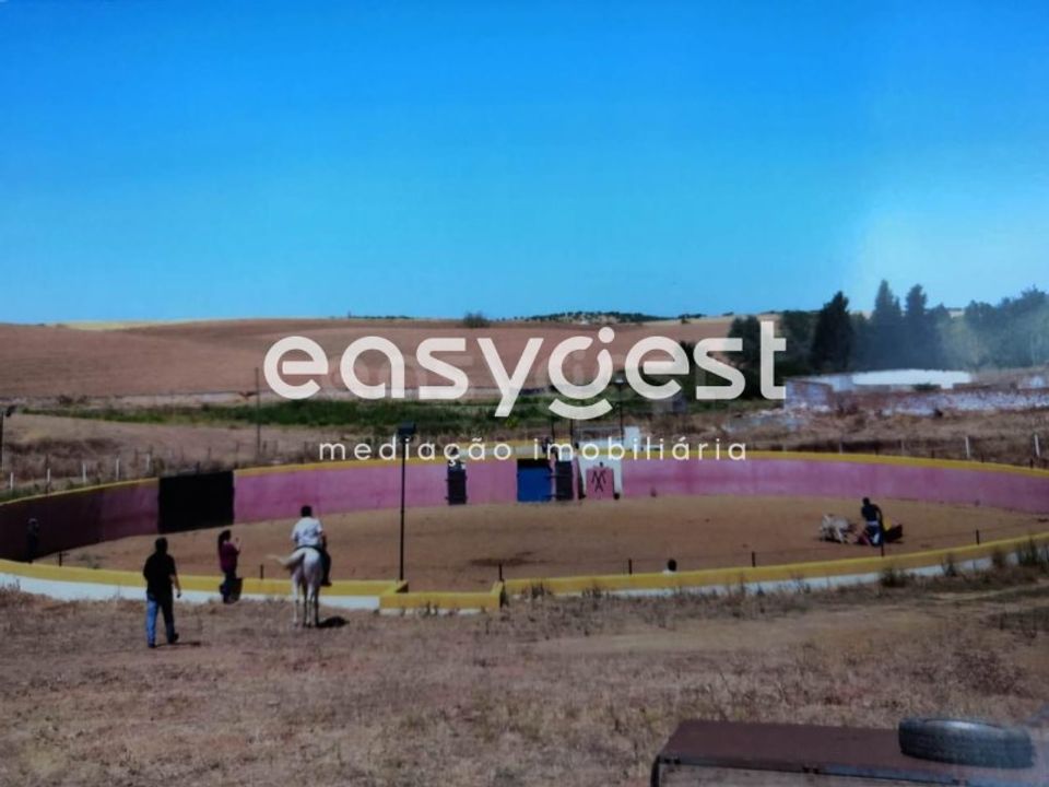 Masia a Moura, Beja - foto 5