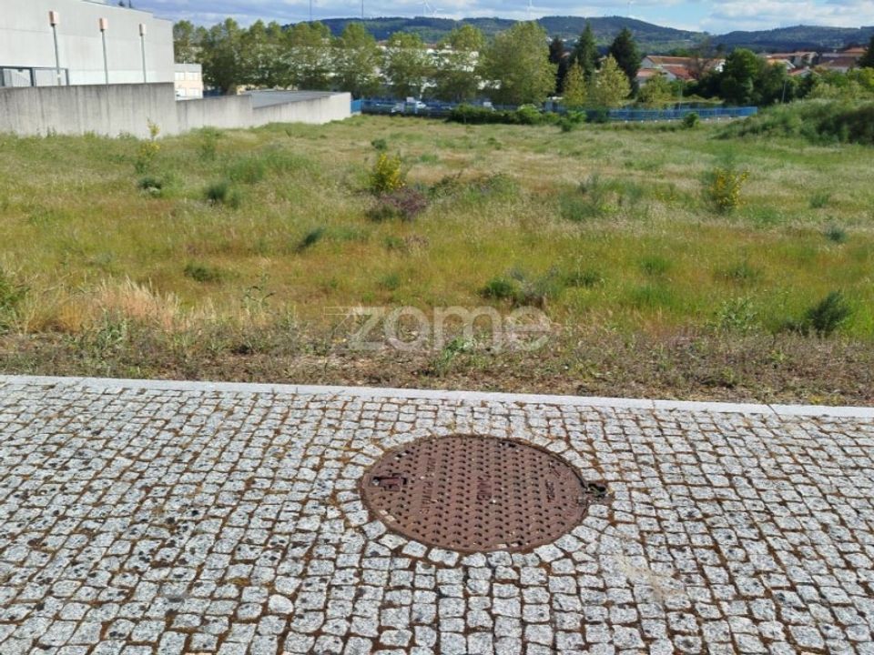 Terra a Moimenta da Beira, Viseu - foto 1