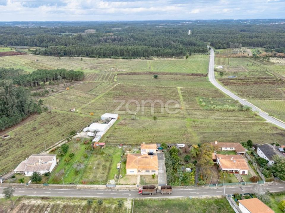 Terrain - Ourenta, Coimbra - photo 4