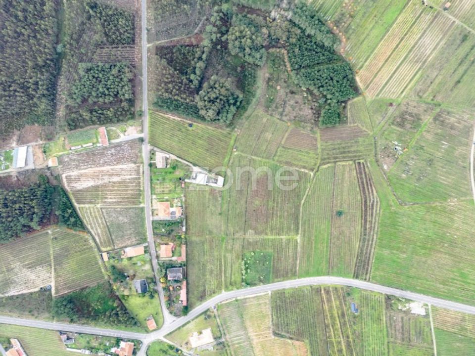 Terrain - Ourenta, Coimbra - photo 5