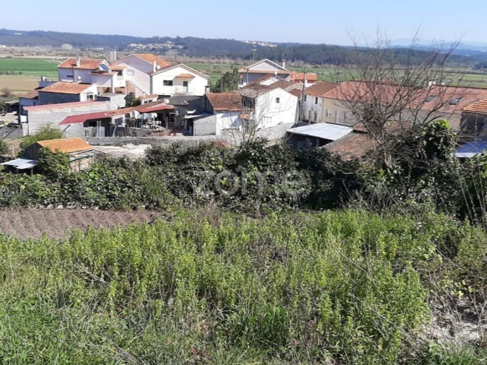 Terra a Gesteira e Brunhos, Coimbra - foto 5