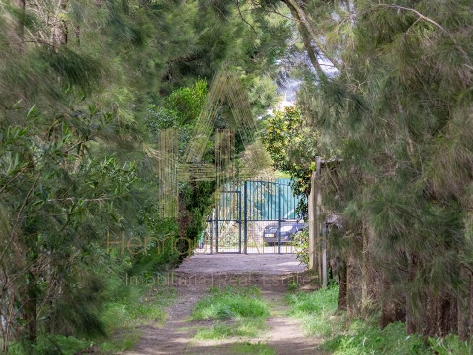 Farm i Sesimbra, Setubal - foto 3