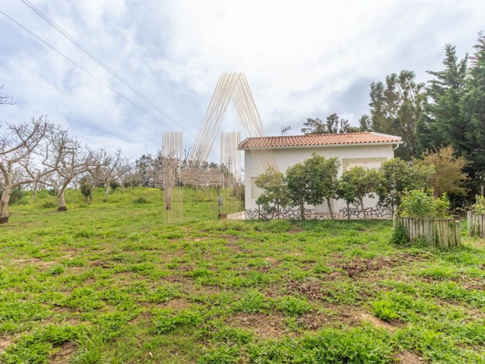 Farm i Sesimbra, Setubal - foto 4