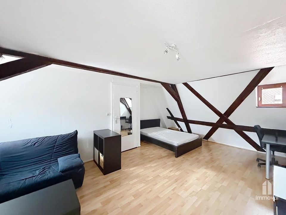 Studio i Strasbourg, Bas-Rhin - foto 4
